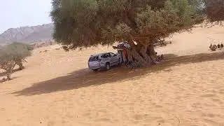 Sahara 🇪🇭 dessert near Morocco 🇲🇦