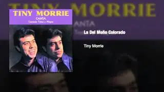 Tiny Morrie - 