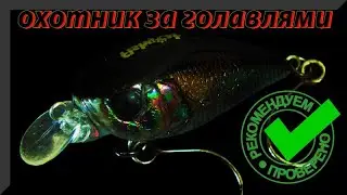 Fishycat iCat32F-SR, as a Wobbler for Chub. Original wobbler with working qualities of Smith Cami...