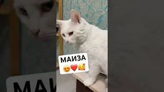 Что же делать как же быть 