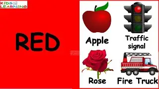 Learn colours I Colours Objects I Colours name for kids I Different colour items I Identify colours