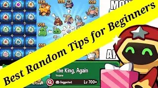 Best Random Tips for Beginners to Reach Endgame Faster | Summoner's Greed