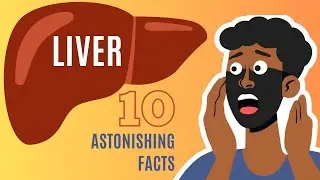Unlocking the Secrets: 10 Astonishing Facts About the Human Liver!