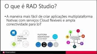 RAD Studio 10.2 Tokyo Online Tour