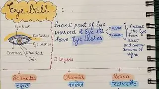 #_best_education_aruaggarwal#structureofhumaneye#partsofhumaneye#Eyeballlayers#Human_eyenotesh