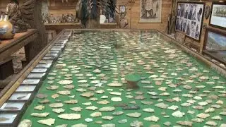 South Georgia Man Has Prolific Arrowhead Collection