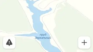 З Е Р К А Л Ь Н Ы Й
