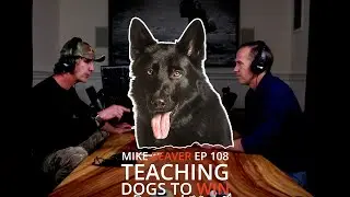 Teaching Dogs to WIN! One of the MOST Important Things to Teach!
