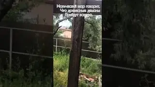 Древесные демону прибудут завтра, жду подмоги от гномов.