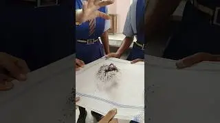 MAGNETIC FIELD OF A BAR MAGNET 