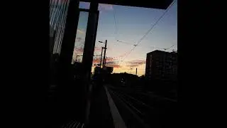 go (celebrate the love)