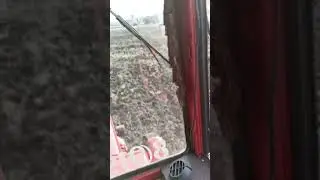 Дискуем целену. Весна 2024 г.
