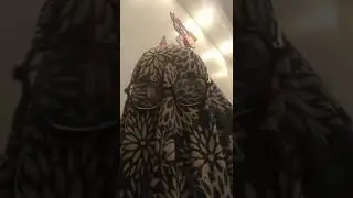 بعبع نتيجه الثانويه العامه
