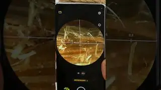 Oppo Reno 8T 5G Microscope Lens Camera