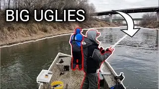 These UGLY FISH Crowded the River!!!!