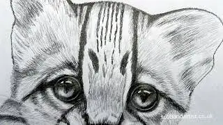 Drawing of a small tiger cat on the hand