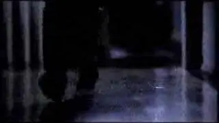 Disneyworld Affordable Commercial