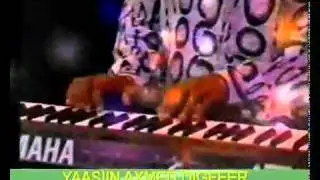 yaasiin Axmed Digfeer -Saaxiib-by somali