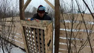HOW TO LIVE FRIENDLY WITH NEIGHBORS, THIS GUY MADE A MIRACLE GATE BETWEEN HIS NEIGHBOR