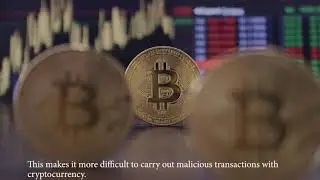 The common terms to understand around Cryptocurrency and common coins