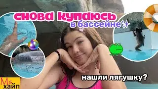 Снова купаюсь🤿 мы нашли лягушку в бассейне?