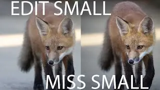 Edit small   miss small