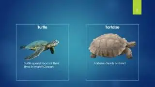 I bet you didn't know the difference between these