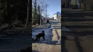 Подари ей любовь и она ответит тем же... 