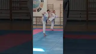 Аттестация на пояса. Тхэквондо ITF