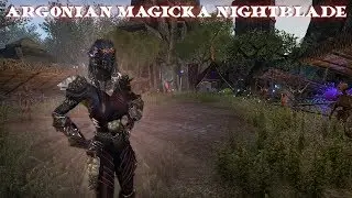 Argonian Nighblade Update | Wrathstone