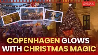 Christmas Lights Beautifully Illuminate Copenhagen, Bringing Colour To Its Dark Winter Nights