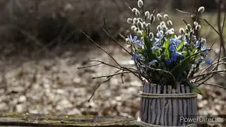 Вербное Воскресенье 25.04.2021