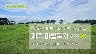[360 VR TRAVEL] 제주 마방목지 - 4K VR 360도 여행영상