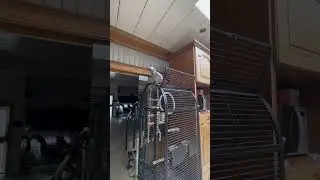 Софочка танцует