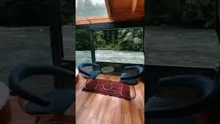 Не красота вызывает любовь, а любовь заставляет нас видеть красоту