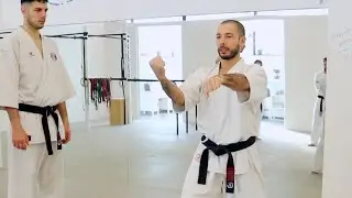 KATA MAKOTOKAI - Allenamento su struttura radicamento ed espansione