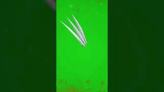 Wolverine iron nails
