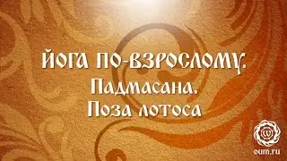 Йога по-взрослому. Падмасана. Поза Лотоса.
