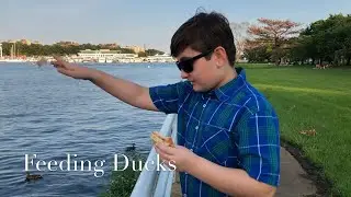 Feeding ducks and Geese!