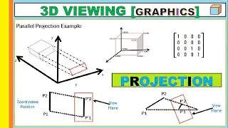 3D Viewing | Types of Projections | with Example ~xRay Pixy