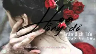 [Vietsub][Pinyin] Hoa Hồng Đỏ - Trần Dịch Tấn