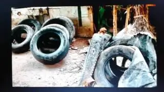 Guerreando contra o Aedes aegypti