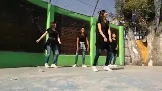Las nanis