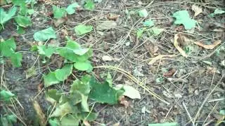 RUN~Part 5