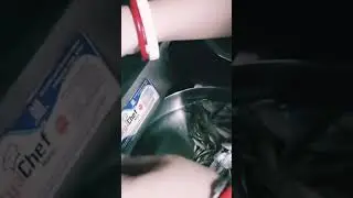 Small fish #shorts #ytshorts