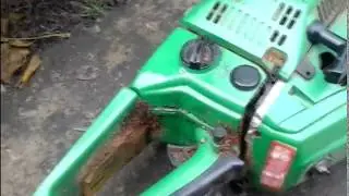 как мы пилили абрикос в нас на деревне