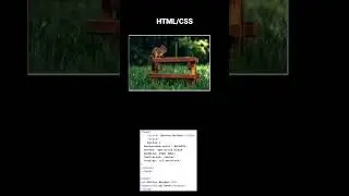 HTML | CSS | #css #html5 #animation #html #python #software #coding #fold #webdevelopment wed design