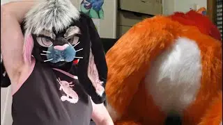 Weird things fursuiters do