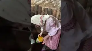 Подготовка к дойке 🐄🥛🥛🥛
