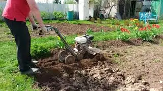 Mole Motor Cultivator: How to Cultivate Properly. Tips for Beginners